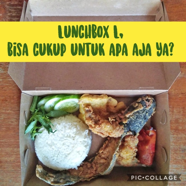 Lunchbox uk. L Reguler /LB.02/ Full Laminasi