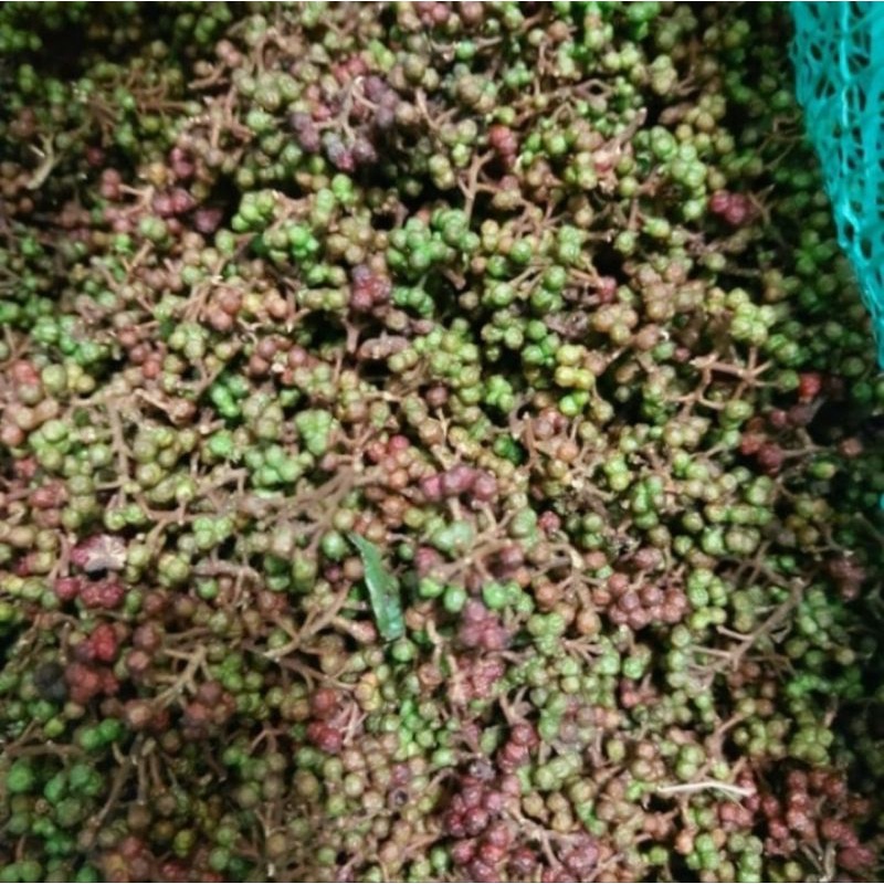 

Andaliman 500gram