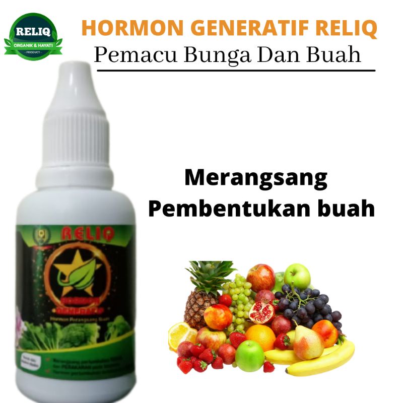 Hormon Giberelin Untuk Jamur Tiram, Hormon Giberelin Untuk Anggur, Hormon Giberelin Organik
