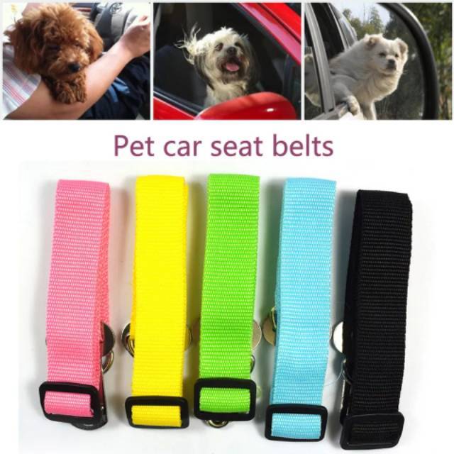 Sabuk pengaman kucing anjing di mobil pet safety seat belt