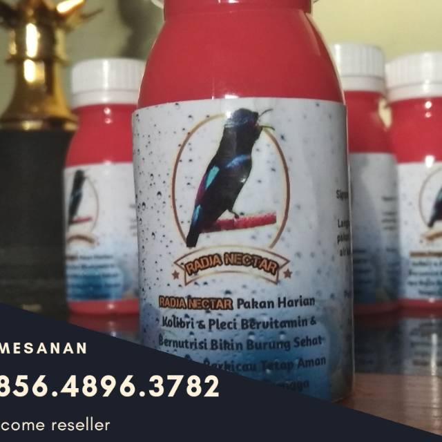 Radja Nectar Pakan Harian Bikin Cepat Gacor Dan Ngobra Shopee