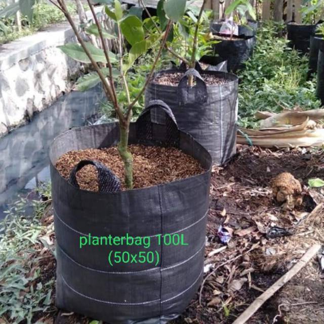 Planterbag 100 liter (50×50)