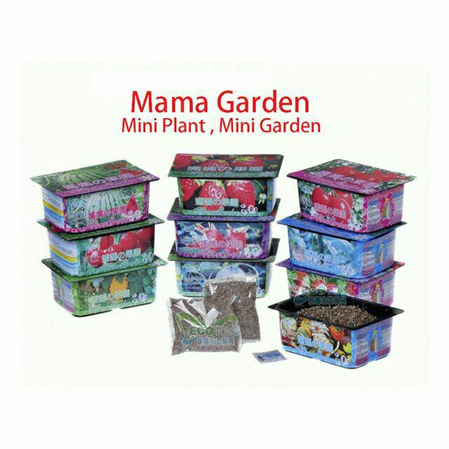 Kebun / Tanaman Mini ( Mama Garden )