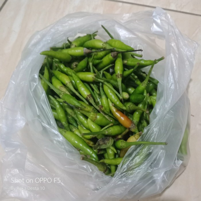 

cabe rawit hijau paket hemat 100gr