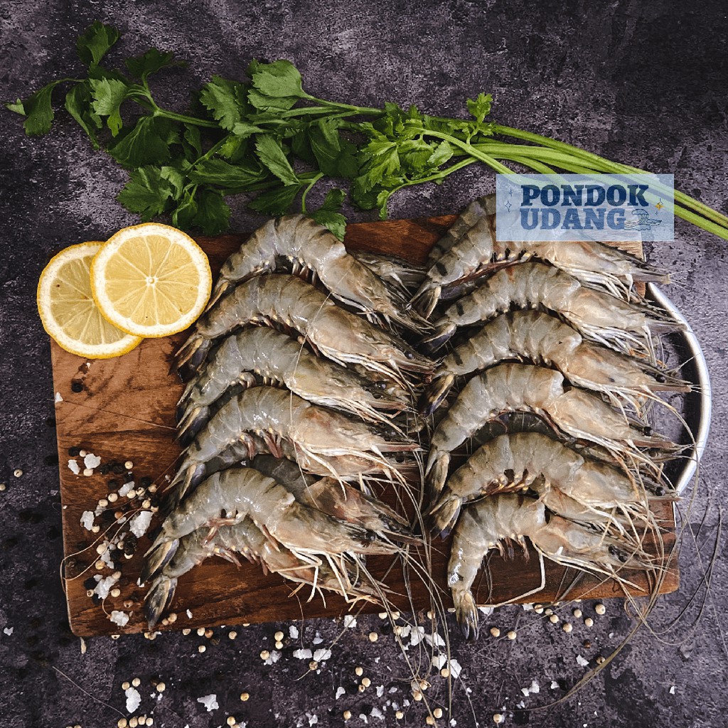 

Udang Windu