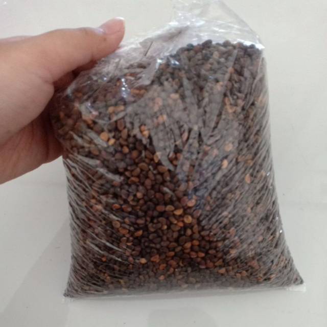 benih KANGKUNG CURAH 1 Kilogram