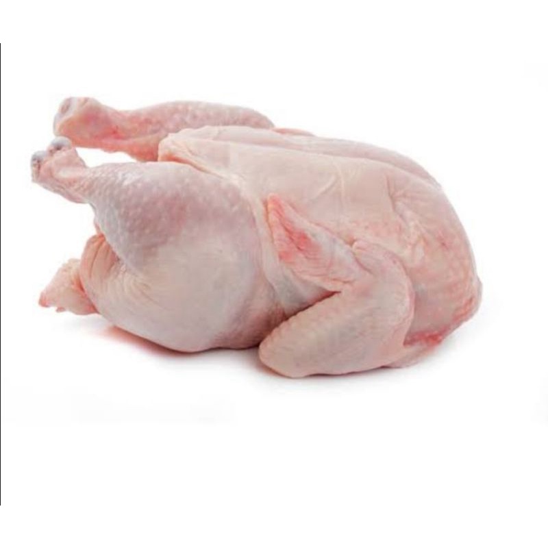 

Ayam segar utuh 1 ekor