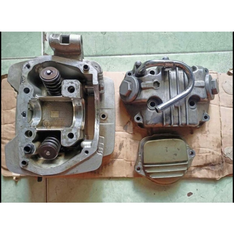 head tiger revo standart