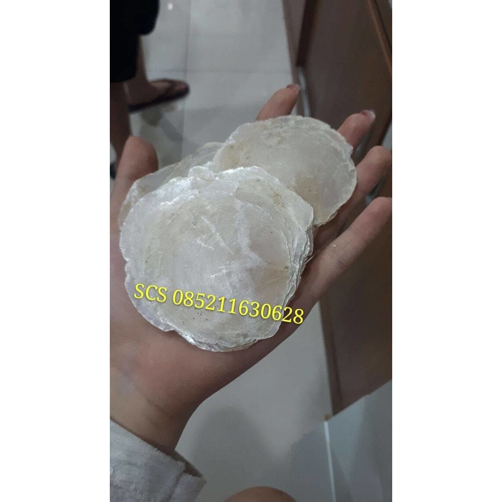 

zhen zhu mu 100 gram