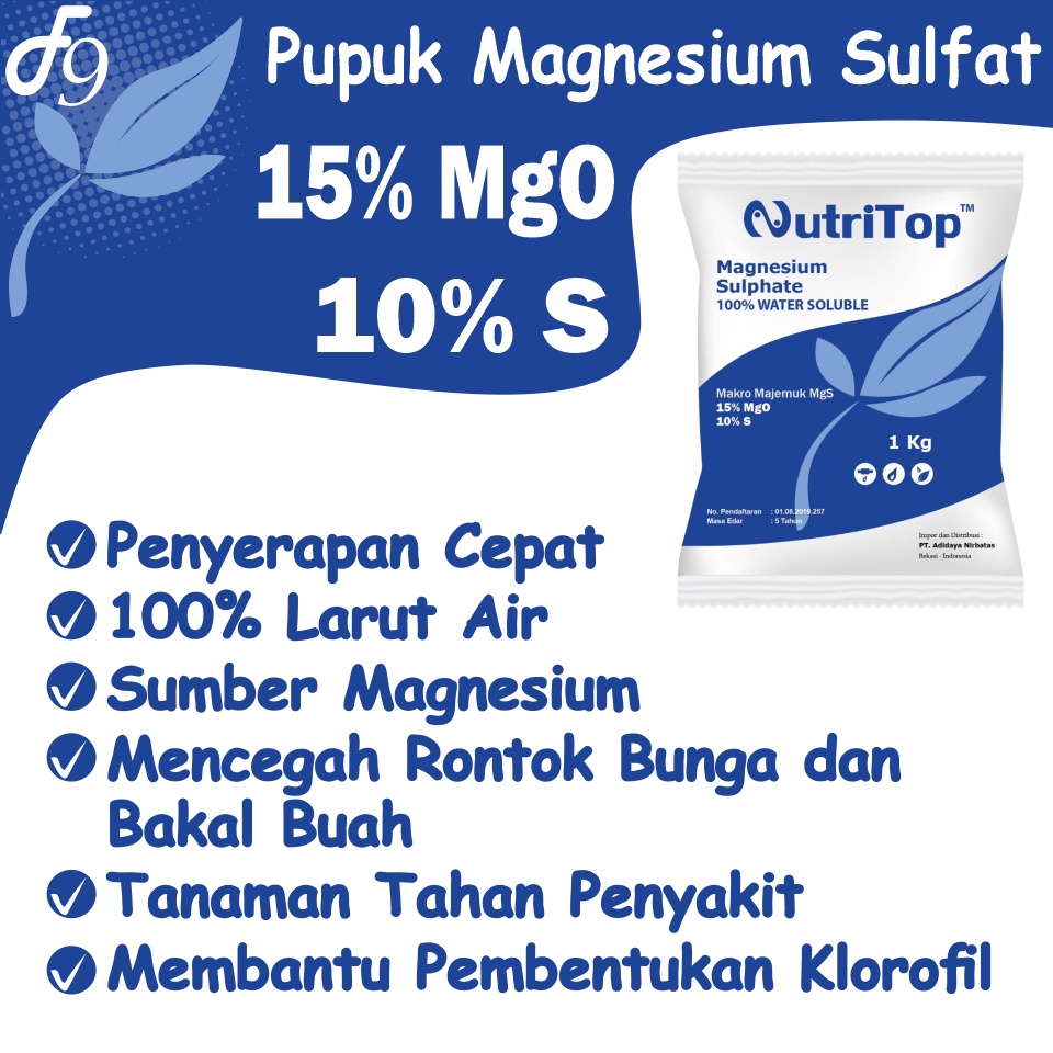 Pupuk Magnesium Sulfat MgSO4  MgS Hidroponik Grade - Nutritop 1 Kg