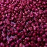 

ヹ Bawang merah sedang 1kg TERMURAH 3388 ⁂