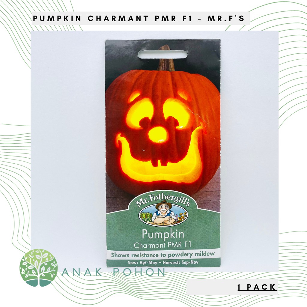 ( 1 PACK ) Benih Pumpkin Charmant PMR F1 - Mr. Fothergills - 10 biji