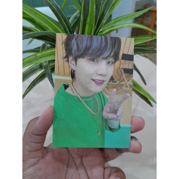 PC CARDIGAN BUTTER SUGA