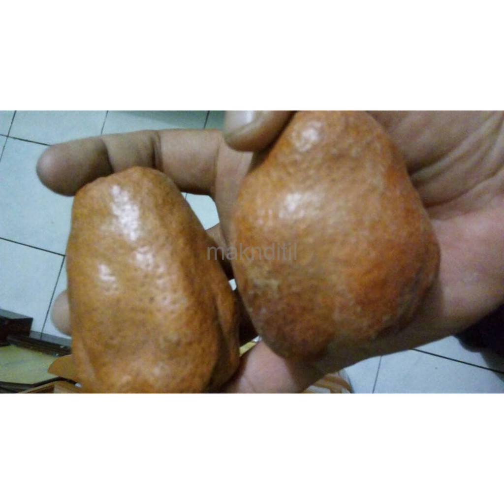 

1 paket ( 2 ) Buah Zuriat / promil