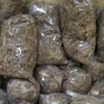 media anggrek mos putih atau spagnum