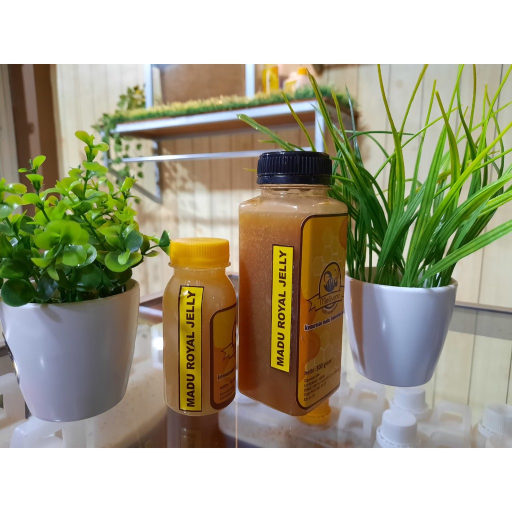 

Madu + Royal Jelly 1:1 (100gr - 300gr)