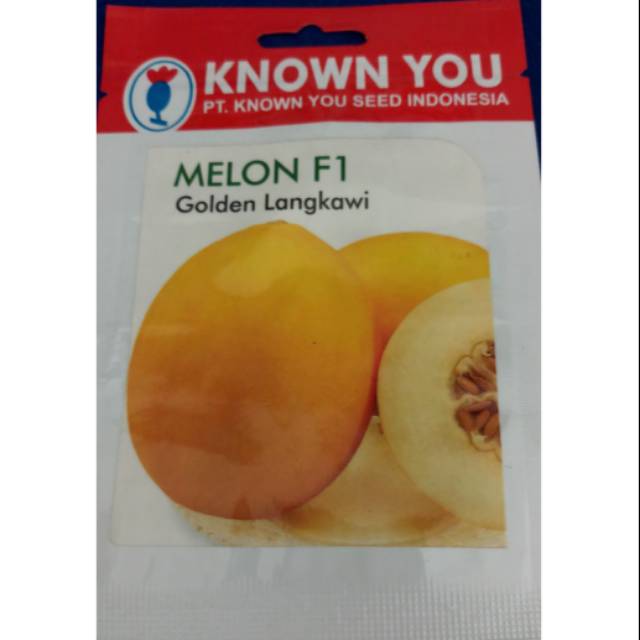 Bibit Benih Biji Melon F1 Golden Langkawi KYS