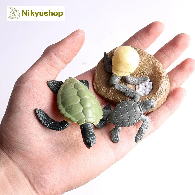 [Nikyushop] Mainan Edukasi Siklus Hidup Hewan Animal Life Cycle Kura Kura Penyu Turtle Tortoise