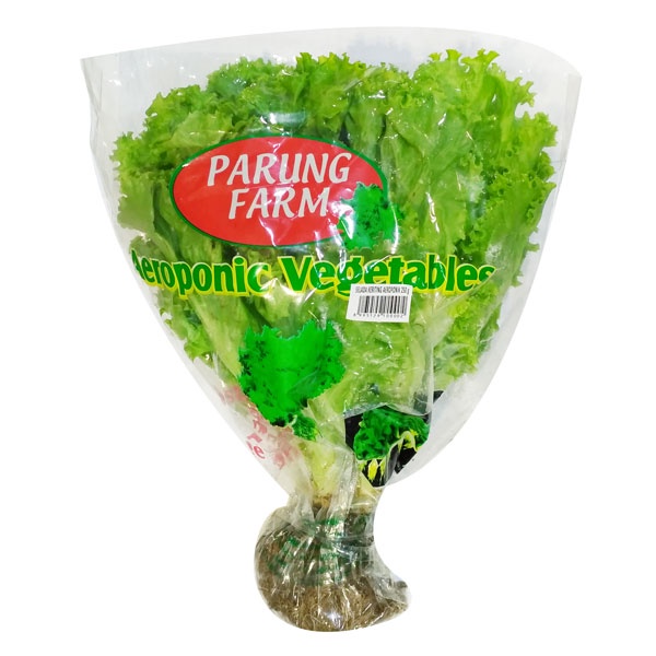 

SELADA KERITING AEROPONIC PACK