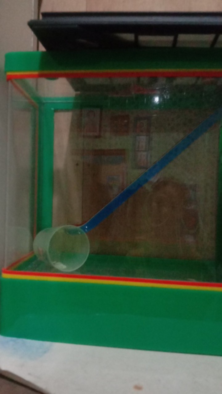 Aquarium Es Kelapa Kecil Acrylic Es Buah Gayung Lion Star Lionstar Shopee Indonesia Aquarium acrylic es buah