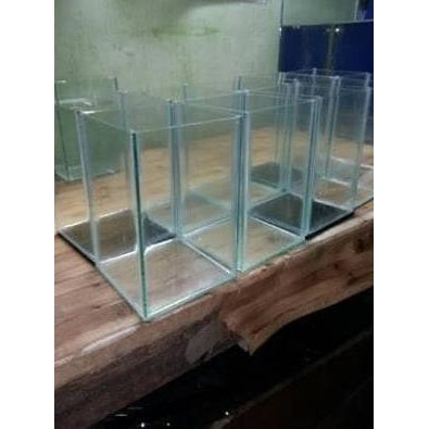 Bagus Dipakai Akuarium Aquarium Botol Toples Cupang Guppy