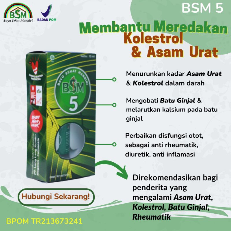 BSM 5. (ASAM URAT DAN KOLESTEROL). PRODUK TERBARU BPK. BAYU DININGRAT