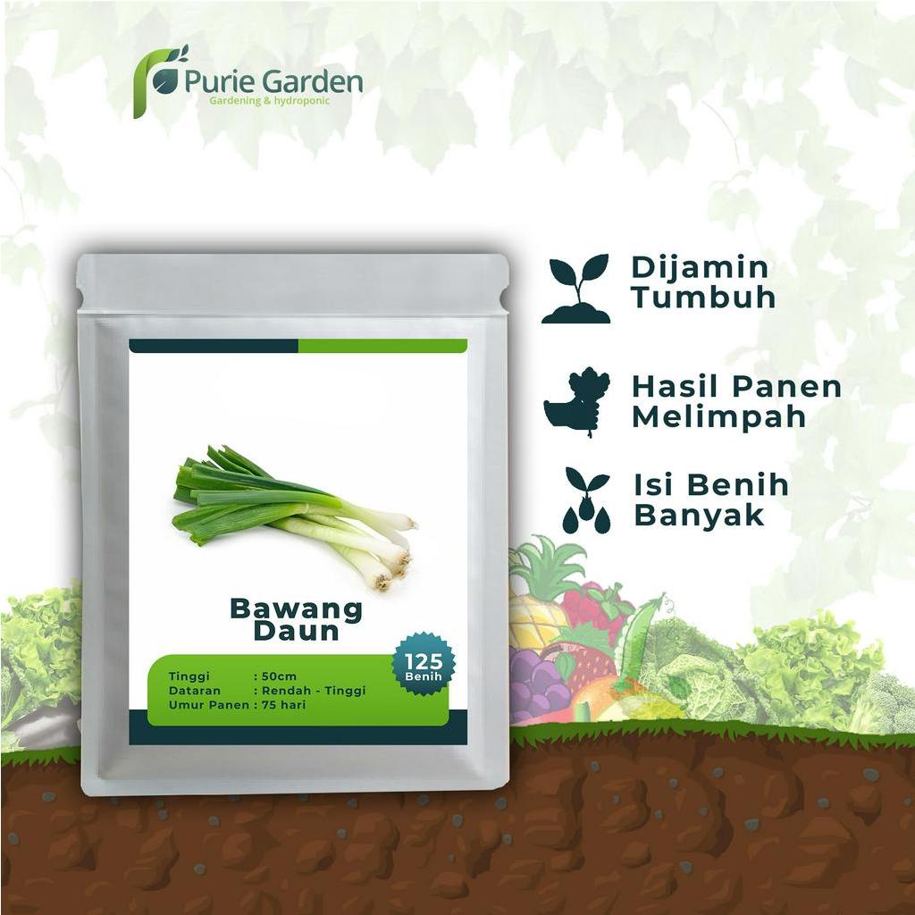 Benih Bibit Biji Unggul Bawang Daun 125 Benih PG KDR