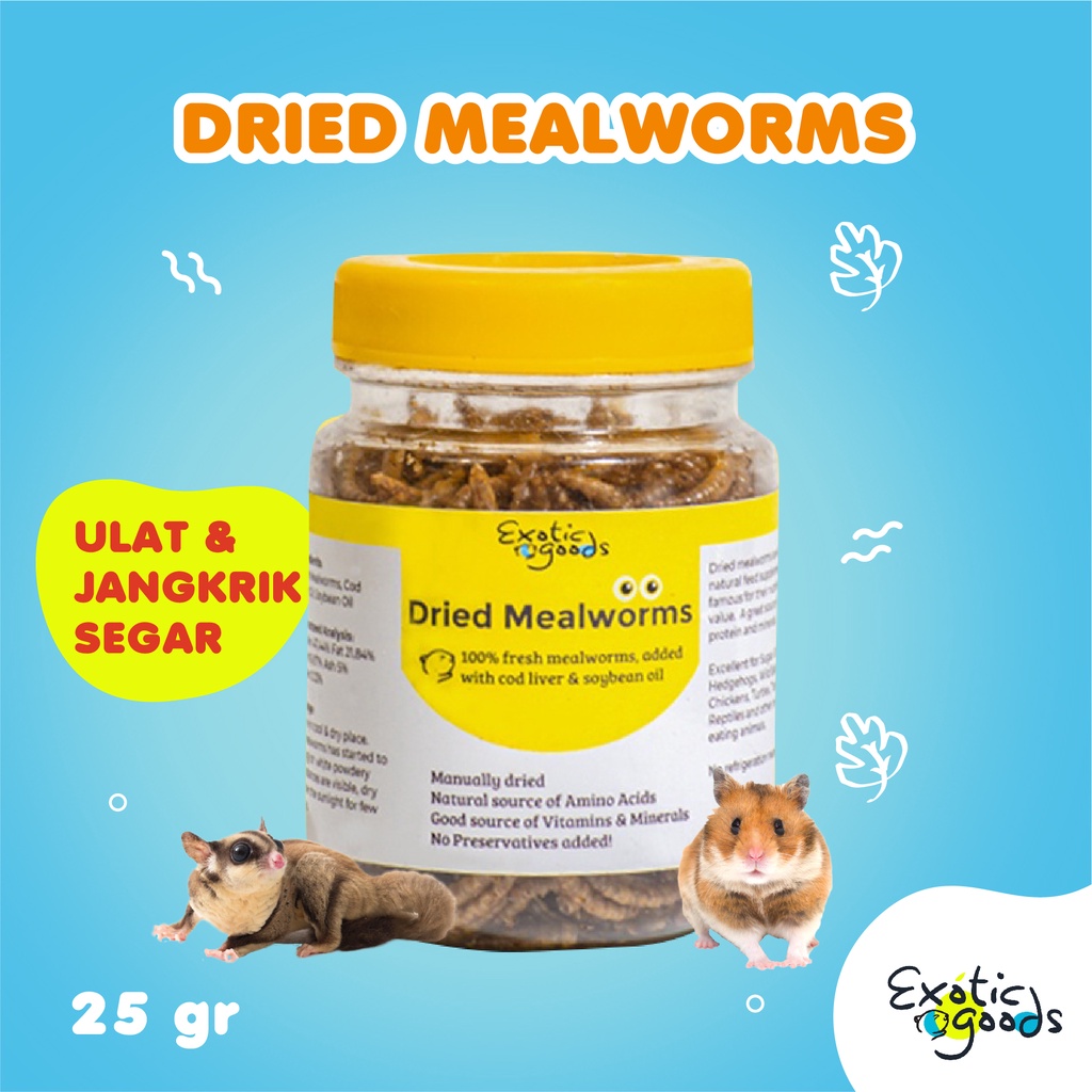 ULAT HONGKONG 25gr ULAT JERMAN 25gr JANGKRIK 25gr MIXBUGS ULAT KERING JANGKRIK KERING DRIED MEALWORM