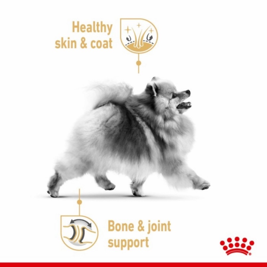 ROYAL CANIN POMERANIAN ADULT 1.5KG