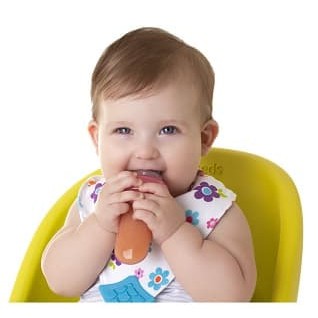 Nuby First Solids Squeeze Feeder