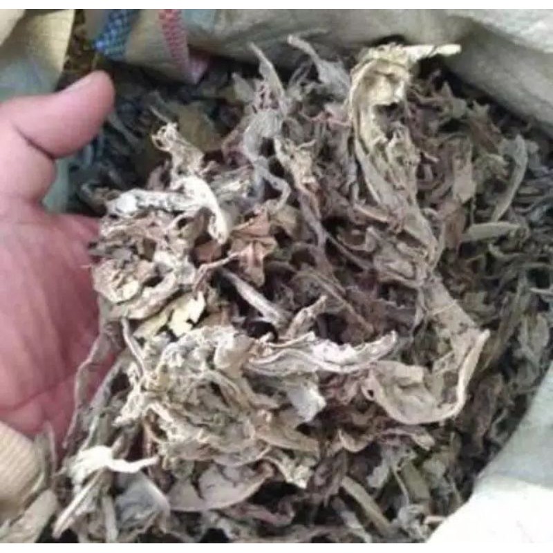 

Daun Tempuyung Kering 500 gramm