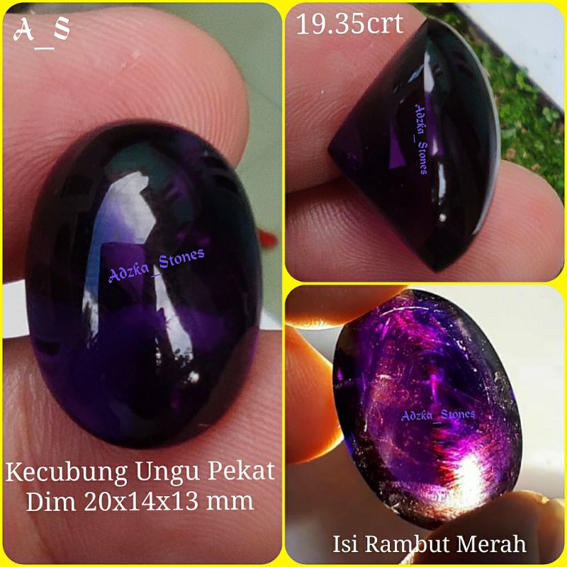 Kecubung Ungu Super Pekat Isi Rambut Merah HQ