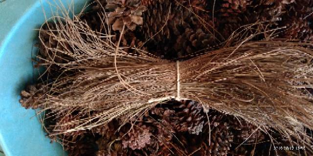 (5 Gratis 1) Daun Pinus Kering Pinecones Sarang Burung Birdnest Rustic Dekor Property Photo