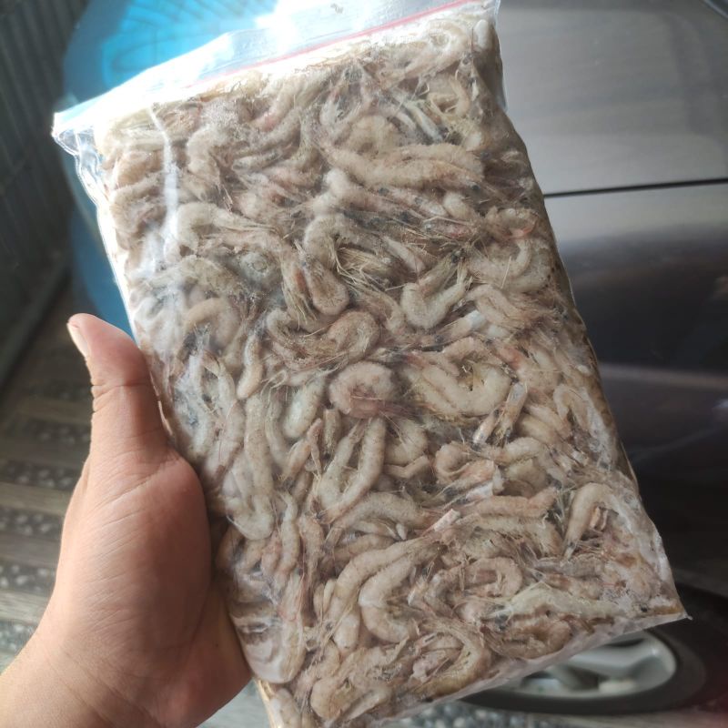 

Udang Beku - Udang Api Beku Size 4-7 cm - Makanan Ikan Predator Berkualitas
