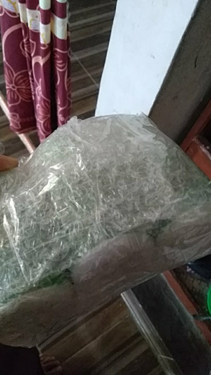 Obat Pertanian Herbisida Sistemik Agil 100 Ec Dari Royal Agro 100 Ml Pembasmi Gulma Racun Gulma