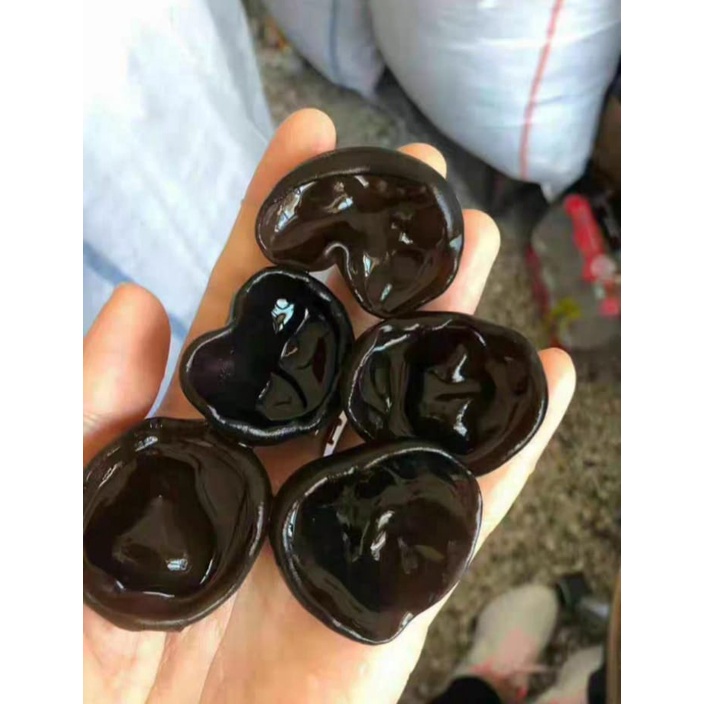 Dried Black Fungus / Jamur Kuping