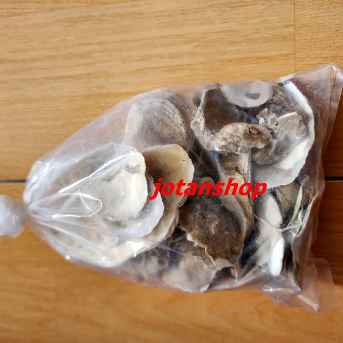 Cangkang Kulit Kerang Tiram Oyster Shell Media Filter Kolam ikan Koi 500gr