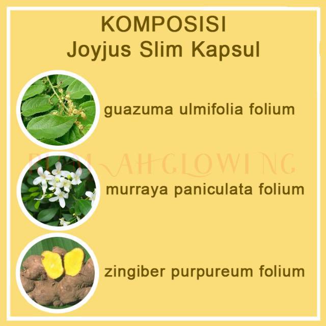 ❤️ RG ❤️ Joyjus Slim Capsul Pelangsing Herbal Alami Tanpa Efek Samping 45 Capsul