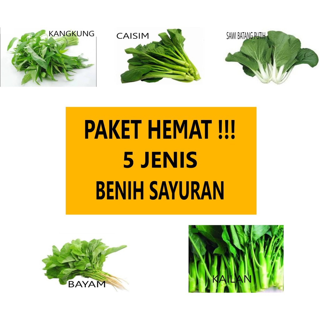 Benih,Biji,Bibit,Sayuran Organik dan Hidroponik Konvensional