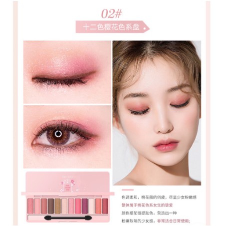 Lameila Eyeshadow Palette 12 Warna DJ 1111