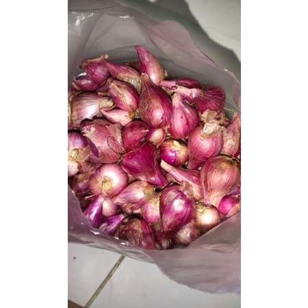 

bawangmerah