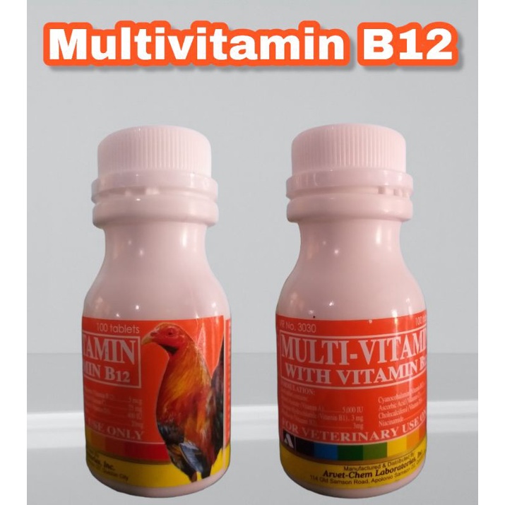 Multivitamin B12 ayam aduan