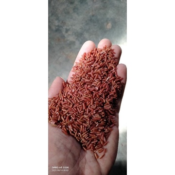 

Beras merah Sosoh organik