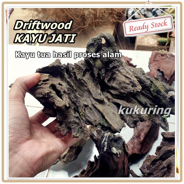 Driftwood - Kayu Tua Di Bentuk Alam - Hiasan Aquarium Aquascape Paludarium kandang hewan dll