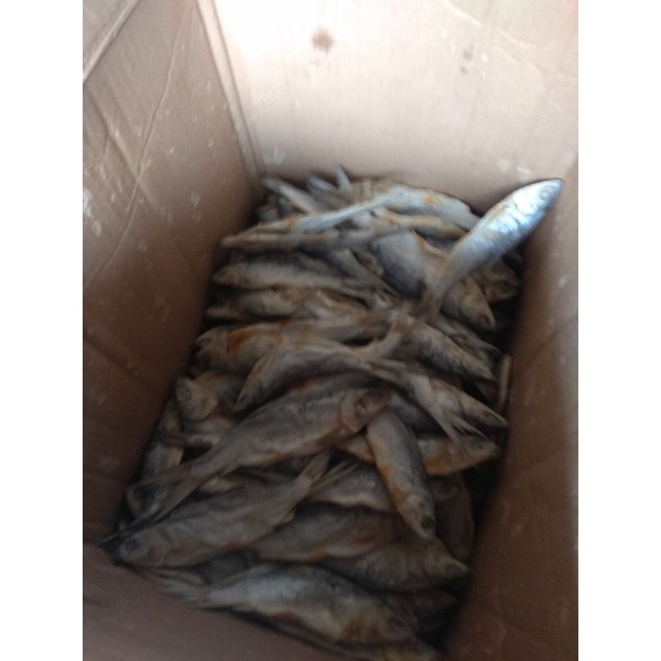 

ikan bandeng kering/berat 500gr
