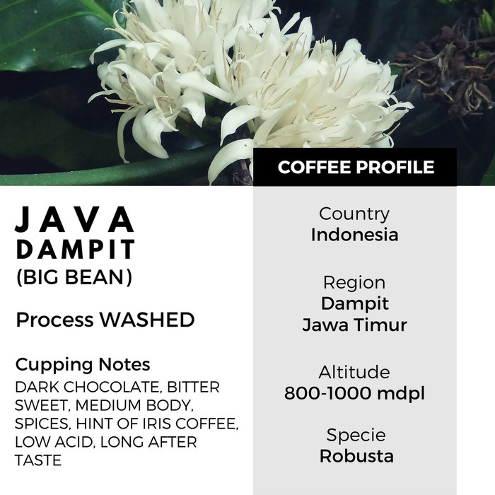 

kopi-biji- biji kopi fine robusta dampit - 200gr northsider coffee - biji kopi -biji-kopi.