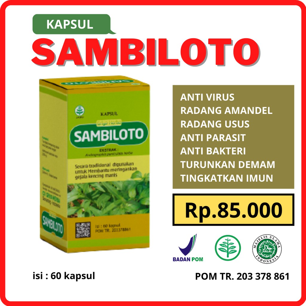 

Kapsul Sambiloto Anti Virus Obat Herbal Alami Tingkatkan Imun Atasi Kencing Manis - DIABETES