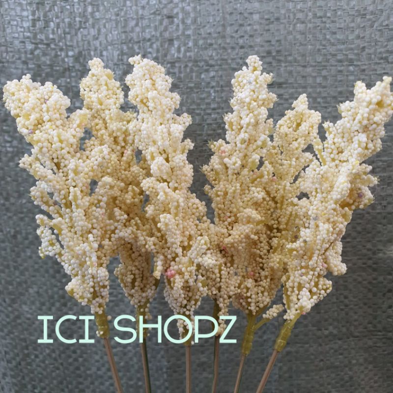 ( 6 Pcs ) Bunga Edelweiss Foam / Bunga Artificial-Krem