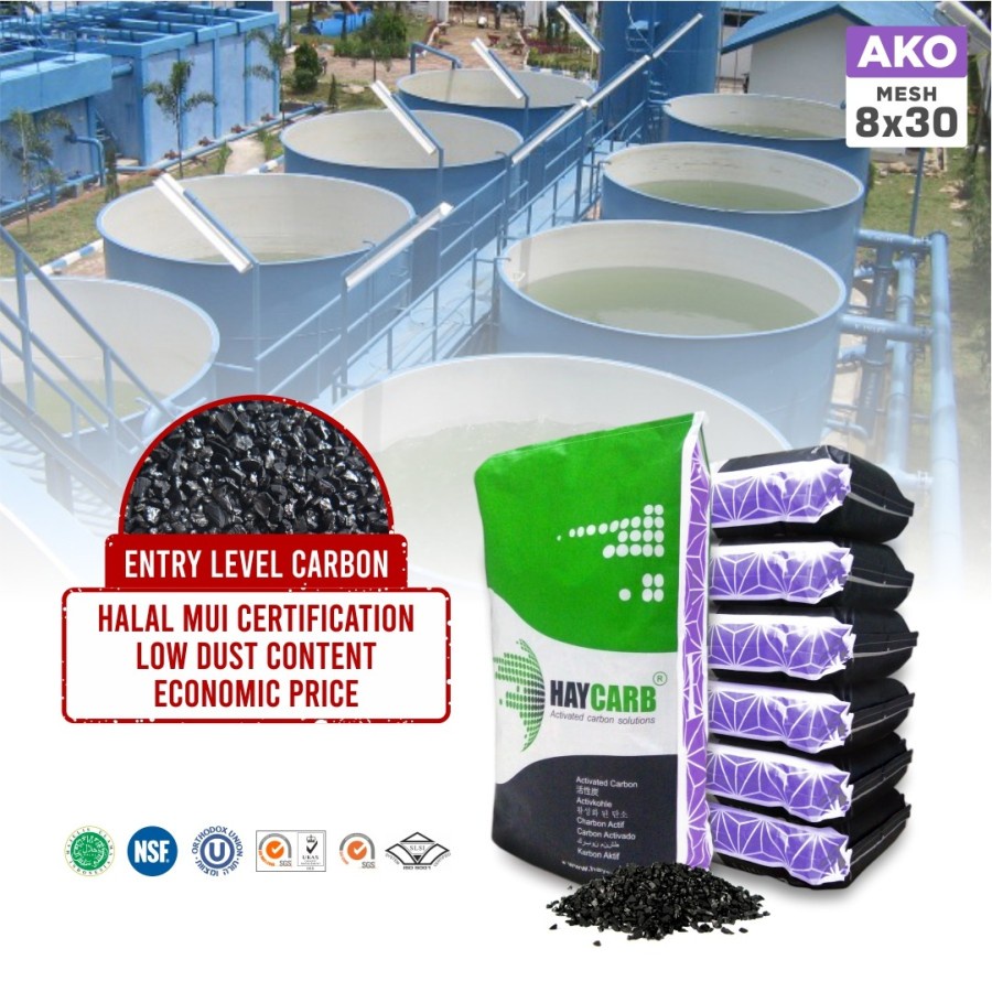 Karbon Aktif media filter Depot isi ulang | Haycarb AKO 800 8x30
