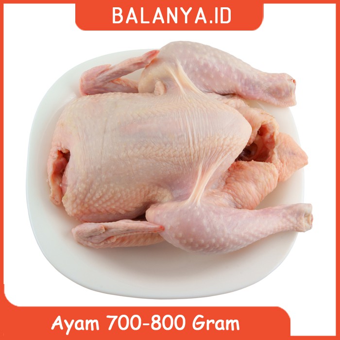 

Daging Ayam Segar 700 - 800 Gram - Ayam Potong - Ayam Karkas - Ayam Utuh